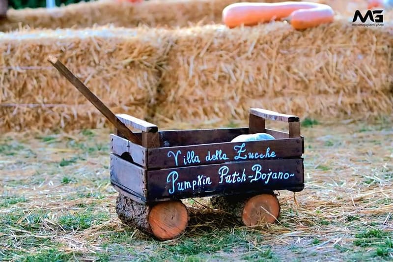 Bojano - La villa delle zucche -