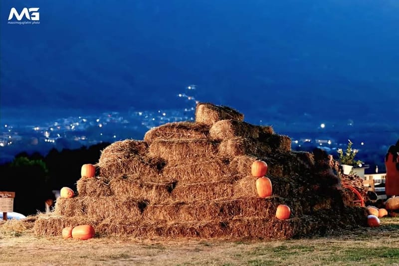 Bojano - La villa delle zucche -