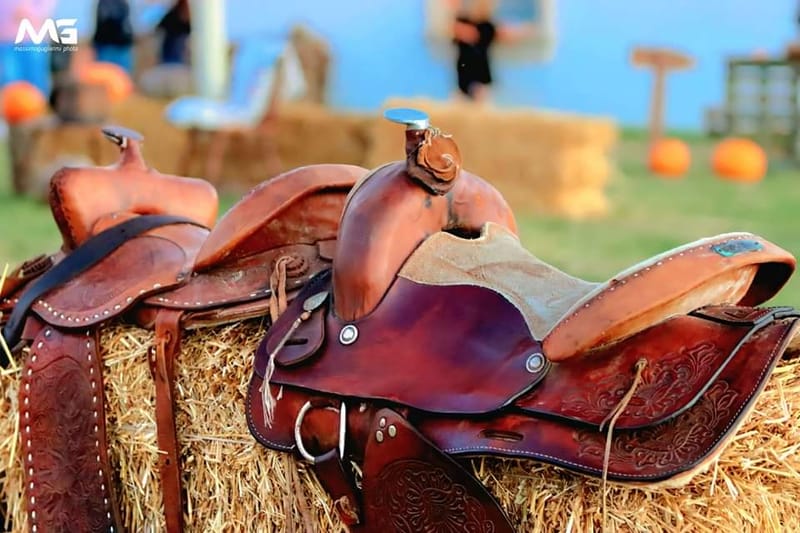 Bojano - La villa delle zucche -