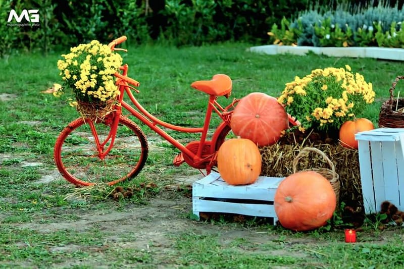 Bojano - La villa delle zucche -