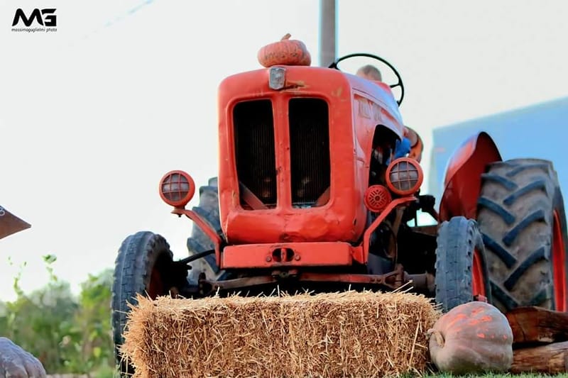 Bojano - La villa delle zucche -