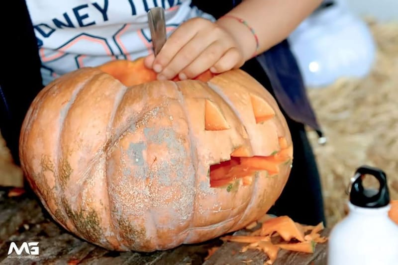Bojano - La villa delle zucche -