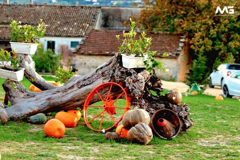 Bojano - La villa delle zucche -