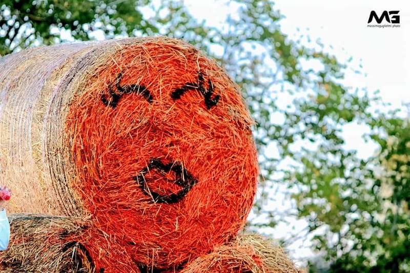 Bojano - La villa delle zucche -