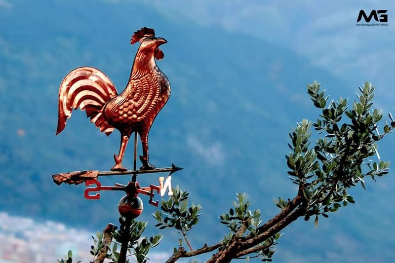 Bojano - La villa delle zucche -