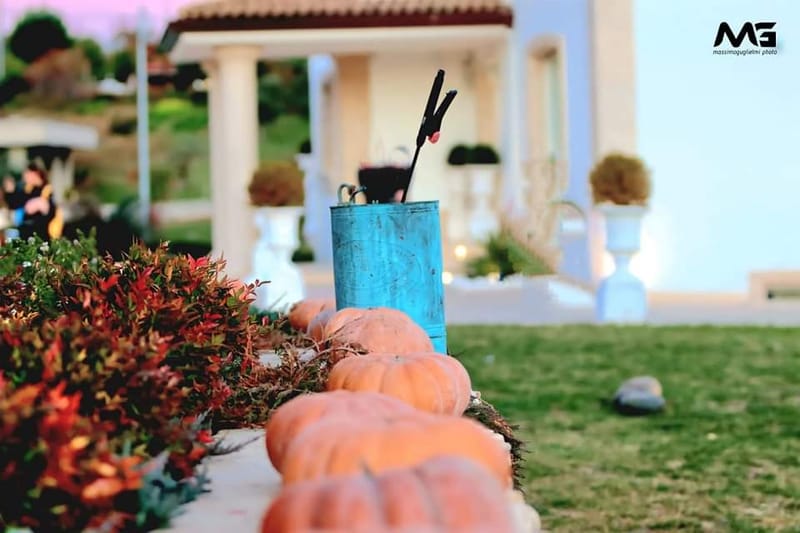 Bojano - La villa delle zucche -