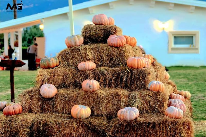 Bojano - La villa delle zucche -