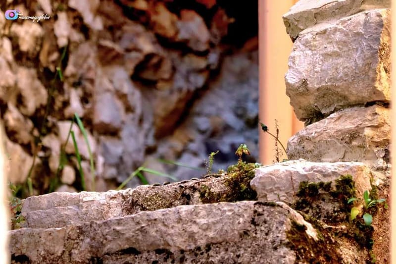 Castelnuovo al Volturno