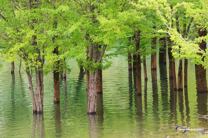 Scorci e fauna tra Alfedena, Barrea, Civitella Alfedena e Villetta Barrea