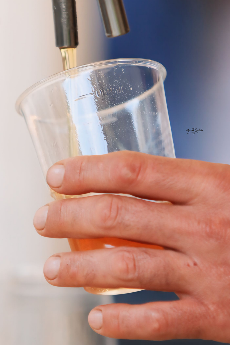 Castel del Giudice (Isernia) Festa della mela 2024