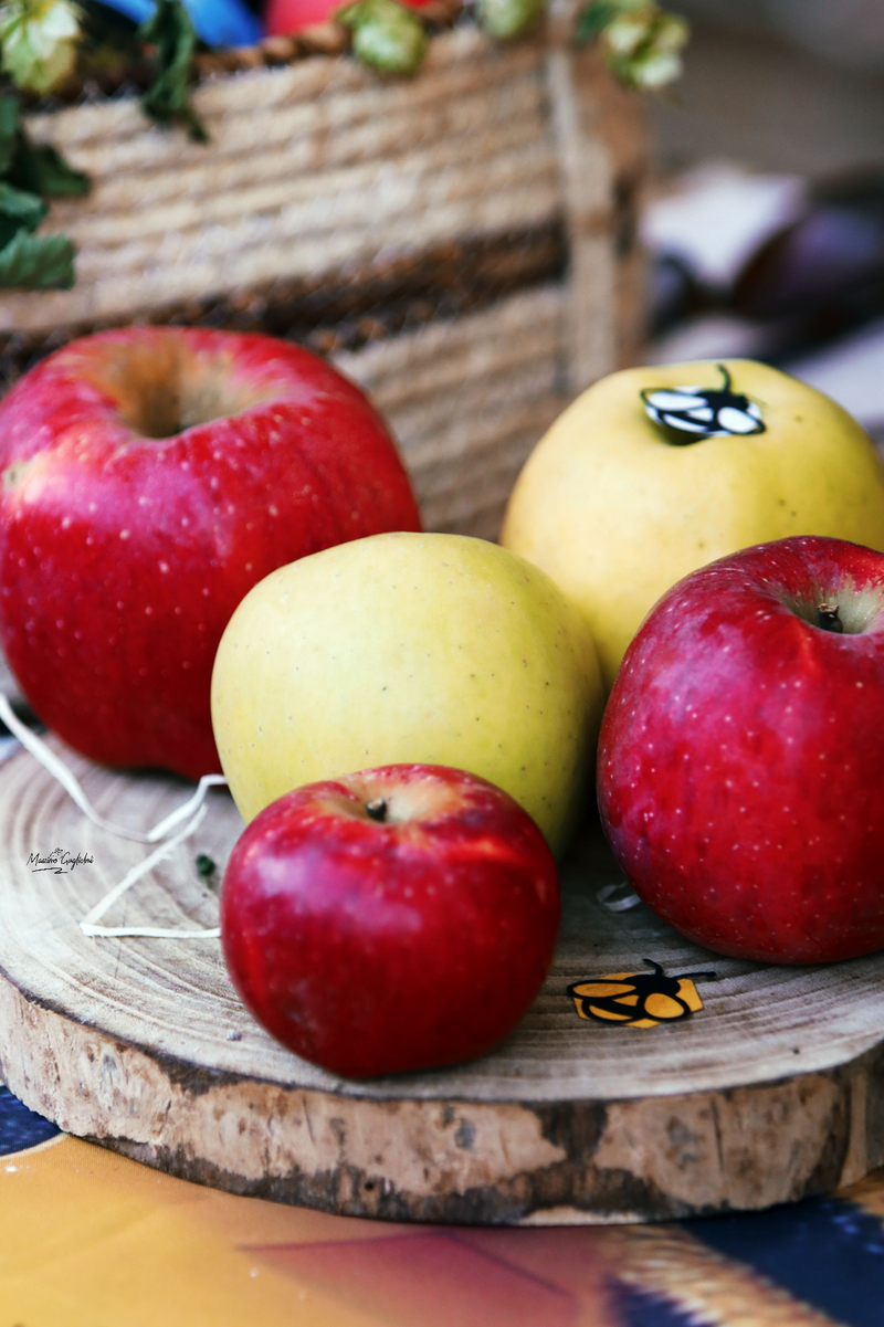 Castel del Giudice (Isernia) Festa della mela 2024