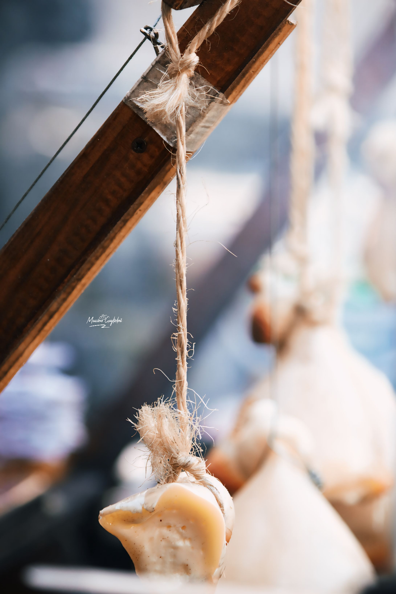 Castel del Giudice (Isernia) Festa della mela 2024