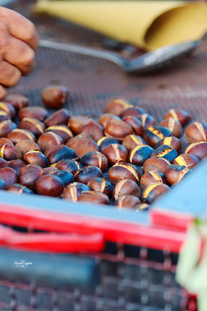 Castel del Giudice (Isernia) Festa della mela 2024