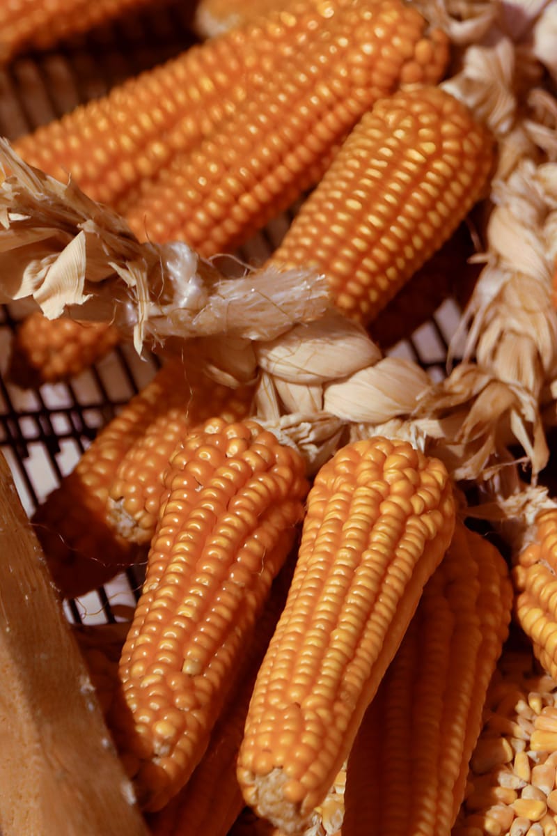 Sant' Agapito - Presepe Vivente 29 e 30 Dicembre 2024