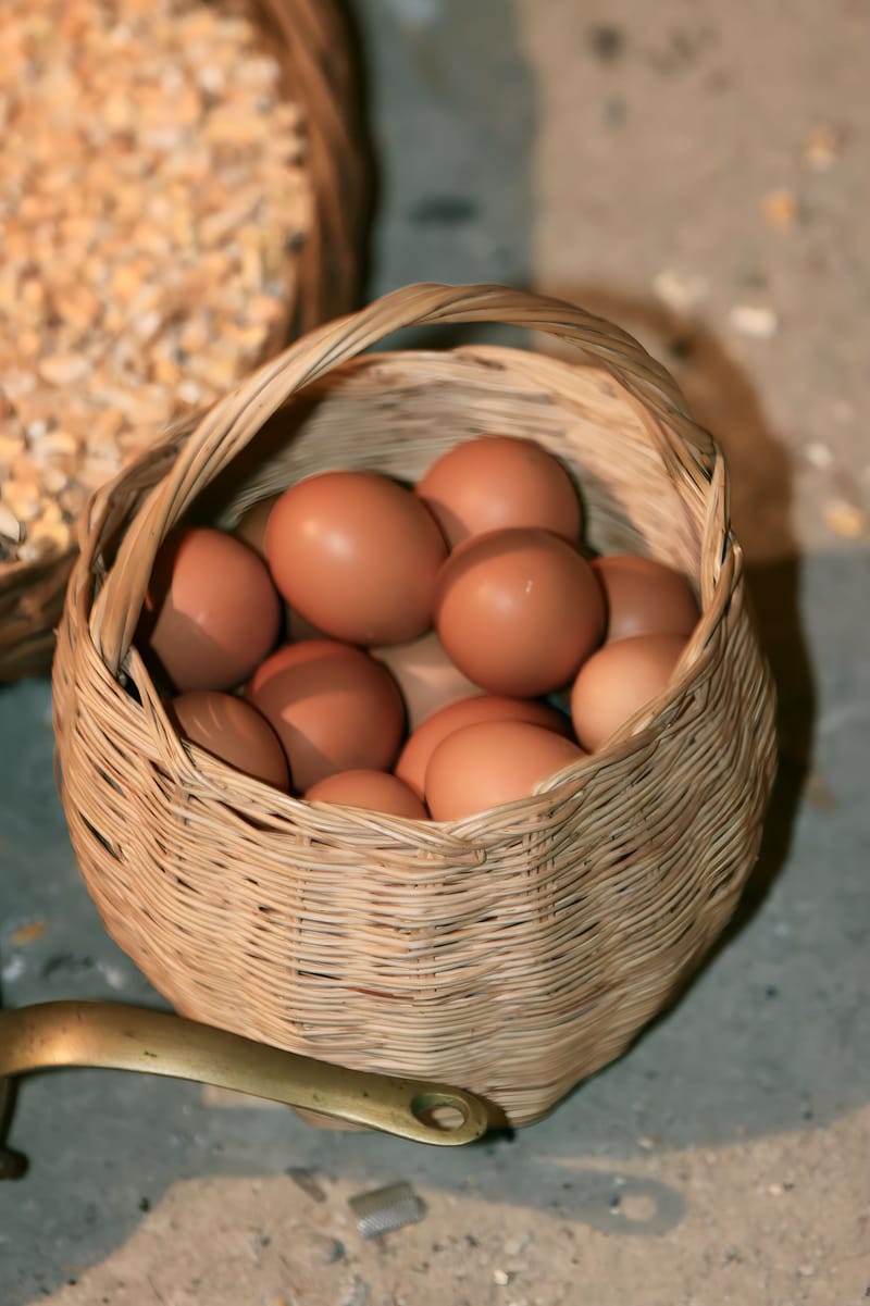 Sant' Agapito - Presepe Vivente 29 e 30 Dicembre 2024