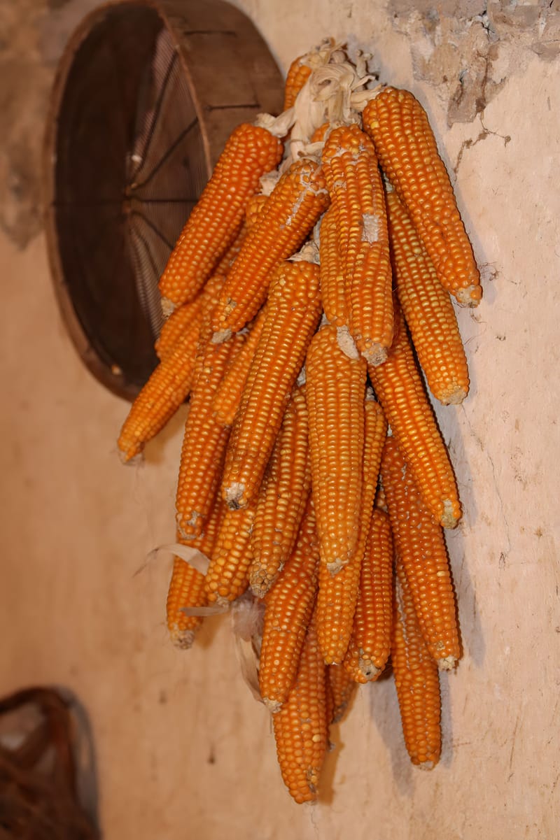 Sant' Agapito - Presepe Vivente 29 e 30 Dicembre 2024