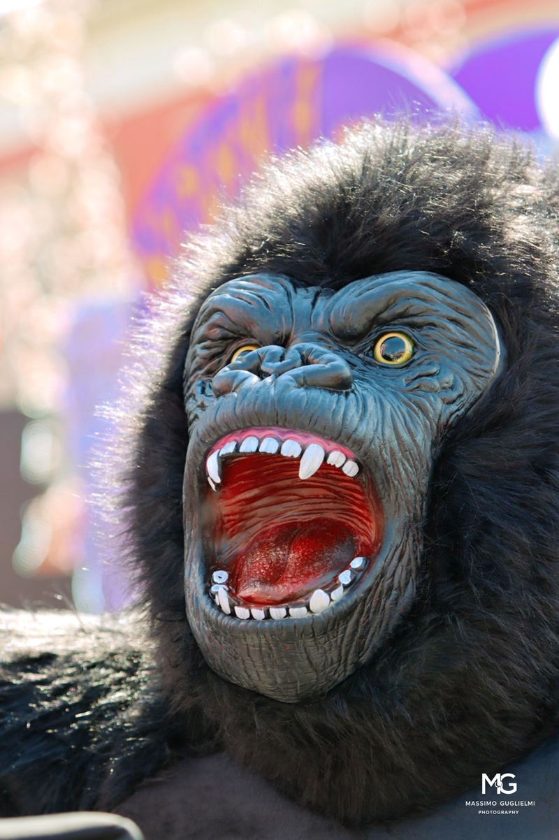 Carnevale Ravindolese 2025