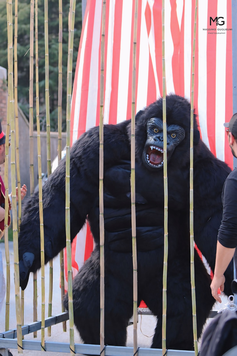 Carnevale Ravindolese 2025