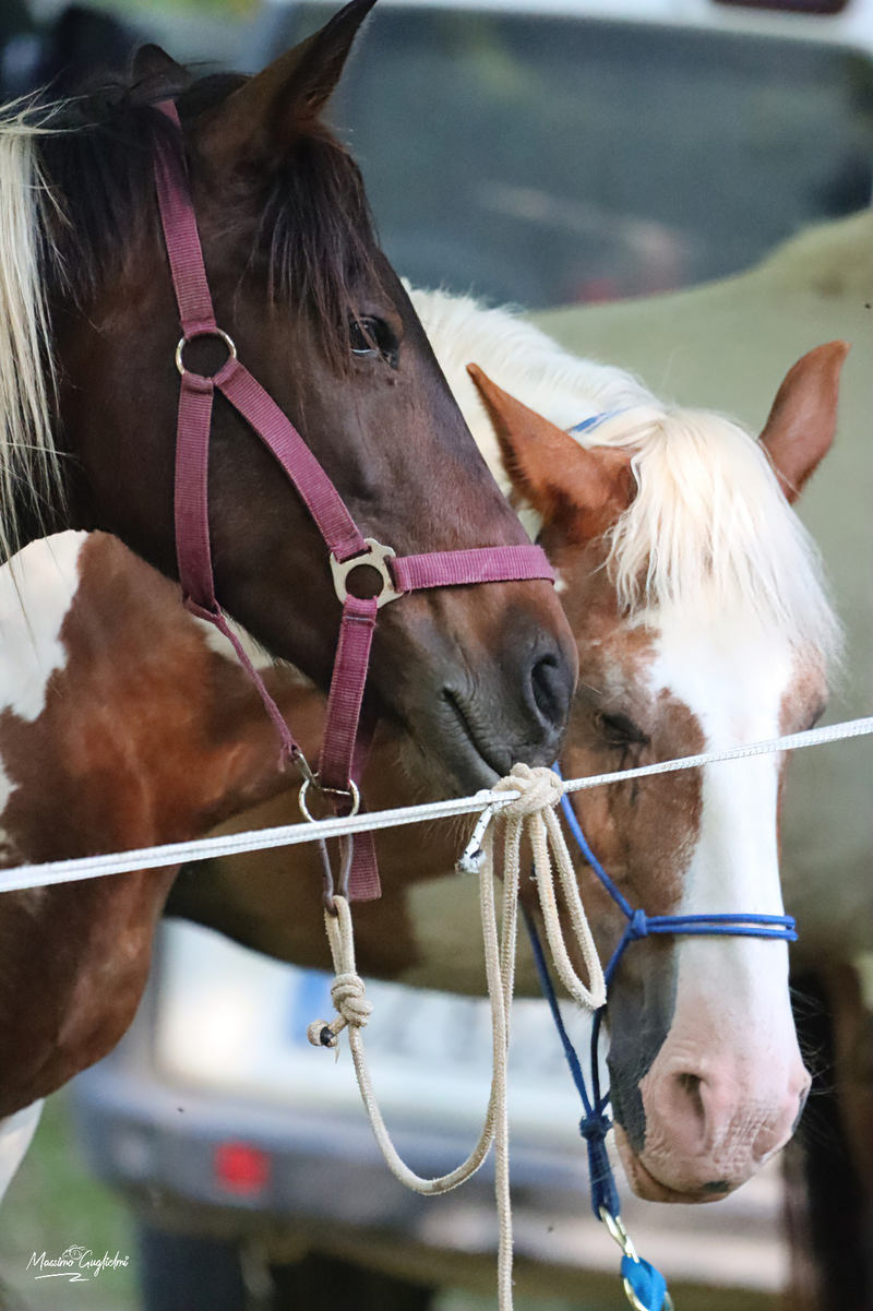 Ogni tanto e' bello uscire dai confini regionali per vivere altre esperienze e conoscere nuovi luoghi