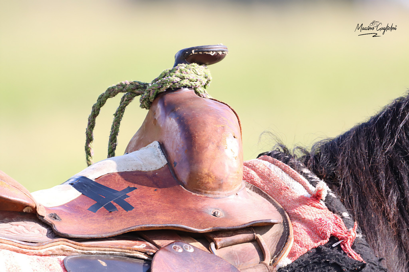 Ogni tanto e' bello uscire dai confini regionali per vivere altre esperienze e conoscere nuovi luoghi