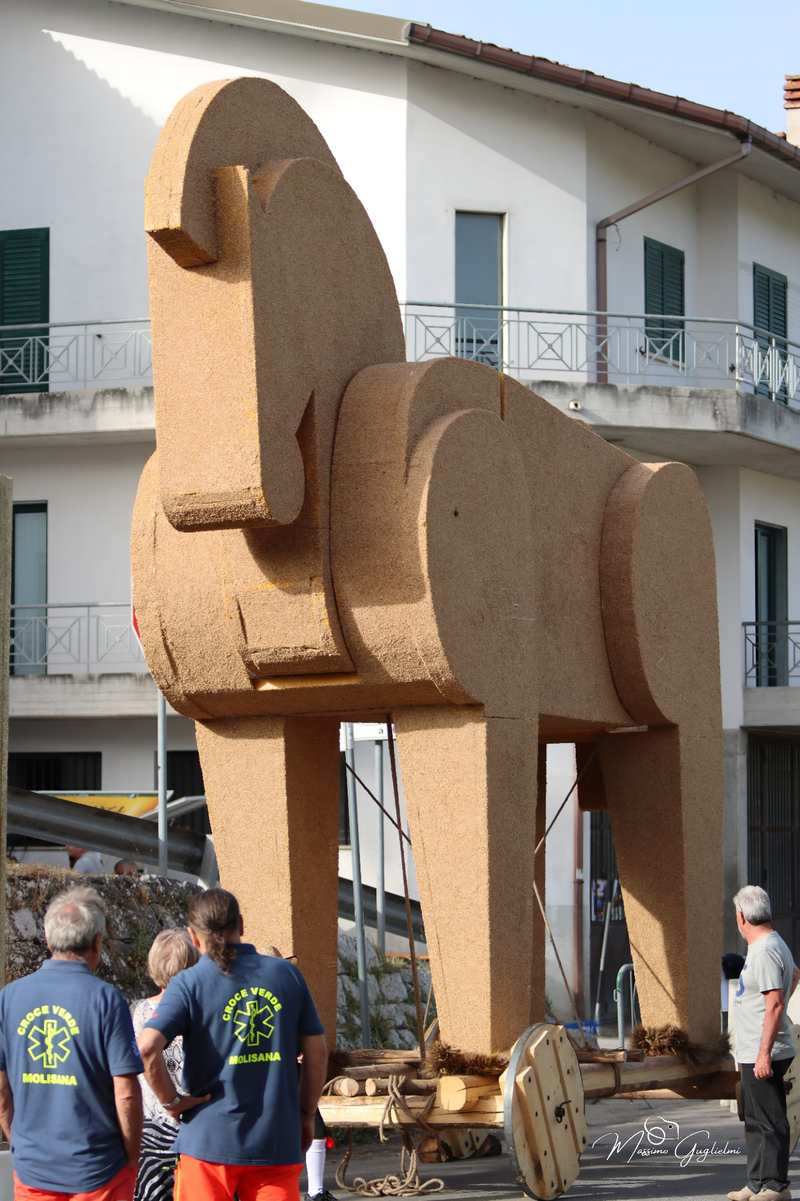 FESTIVITA' IN ONORE DI SANT'ANNA 