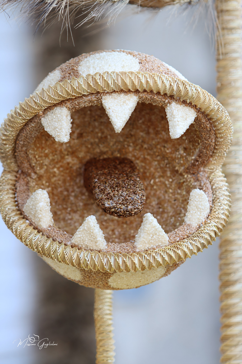 FESTIVITA' IN ONORE DI SANT'ANNA 