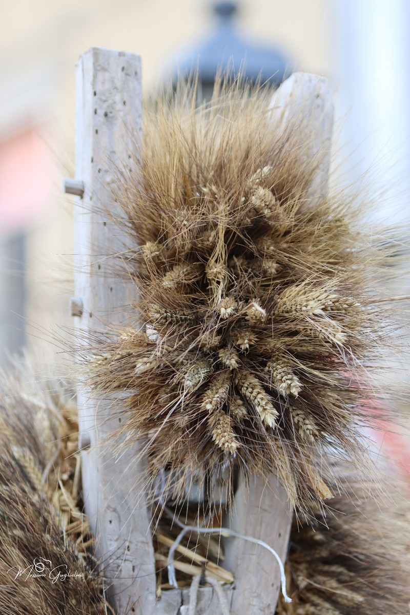 FESTIVITA' IN ONORE DI SANT'ANNA 