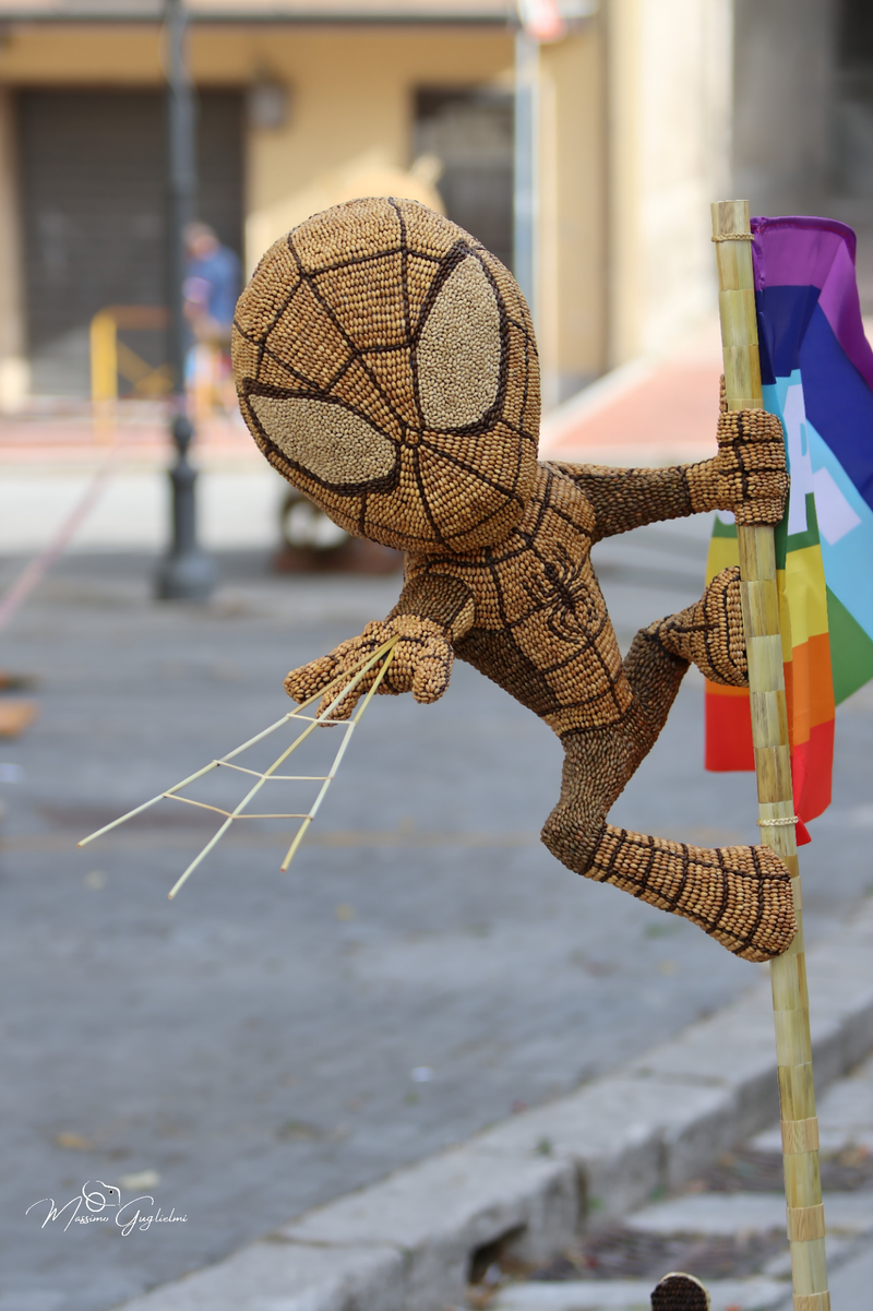 FESTIVITA' IN ONORE DI SANT'ANNA 