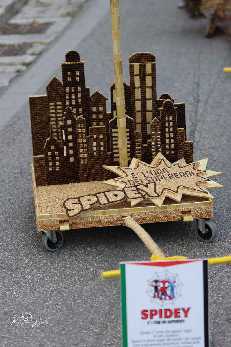 FESTIVITA' IN ONORE DI SANT'ANNA 