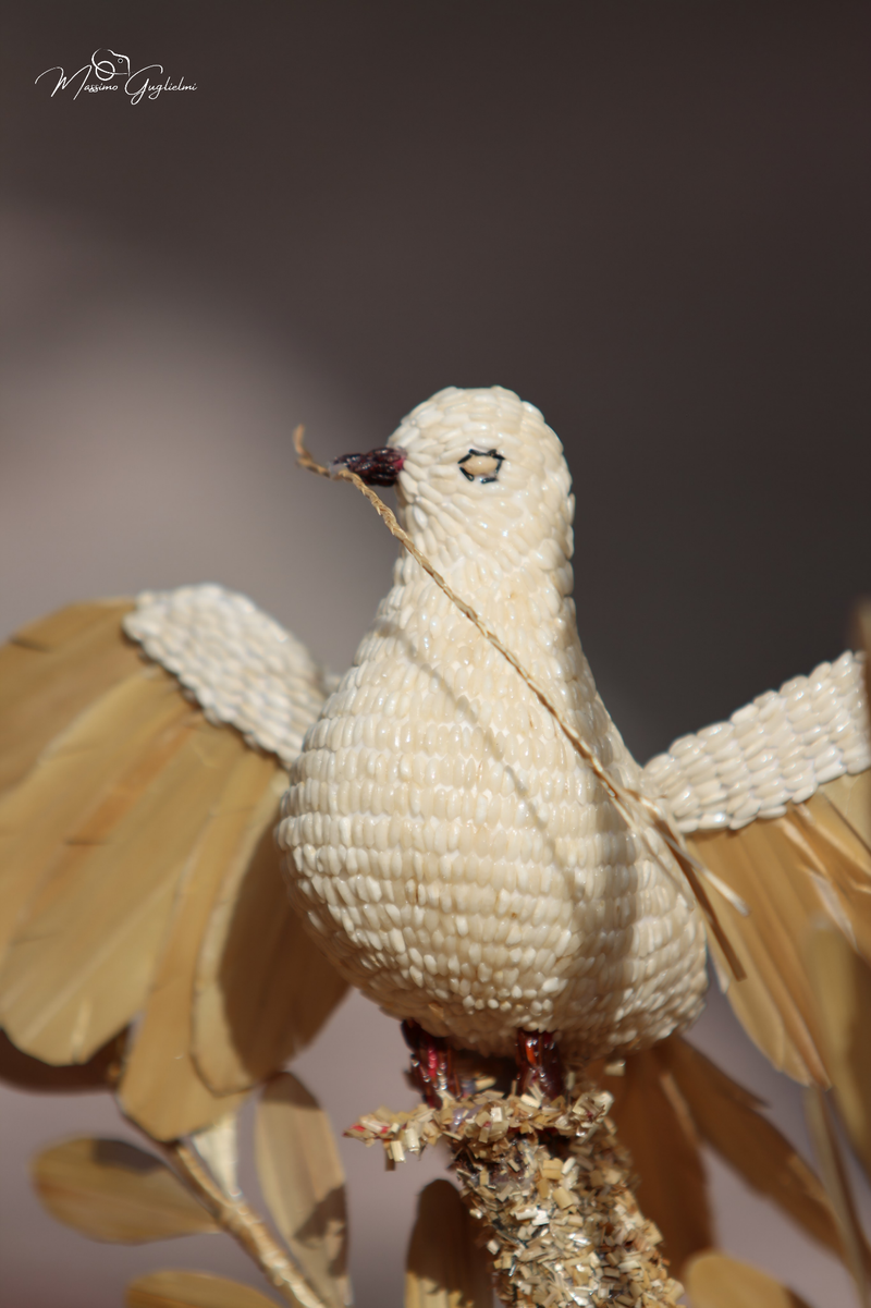 FESTIVITA' IN ONORE DI SANT'ANNA 