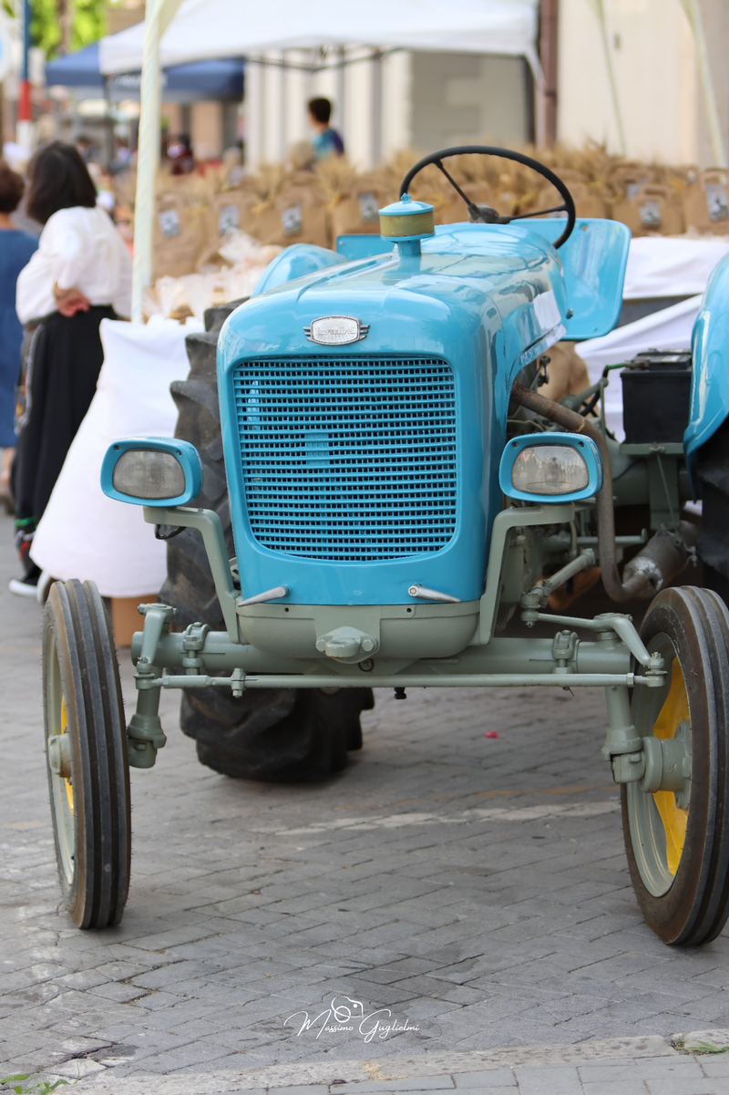 FESTIVITA' IN ONORE DI SANT'ANNA 