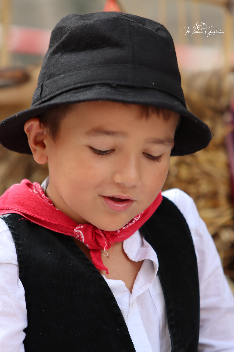 FESTIVITA' IN ONORE DI SANT'ANNA 