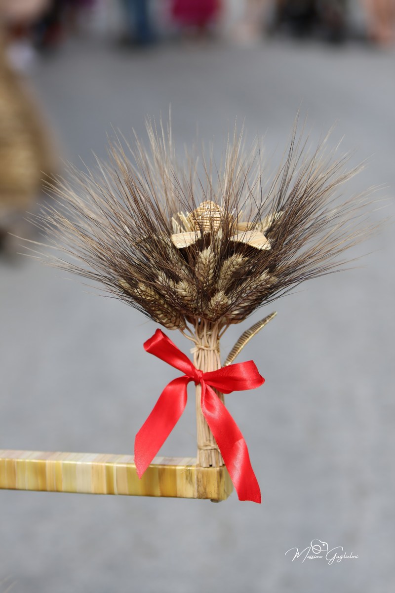 FESTIVITA' IN ONORE DI SANT'ANNA 