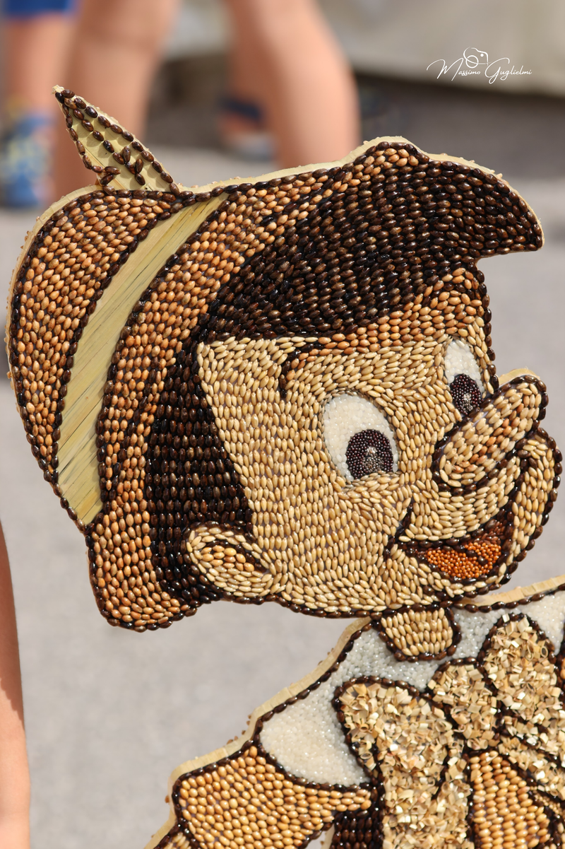 FESTIVITA' IN ONORE DI SANT'ANNA 