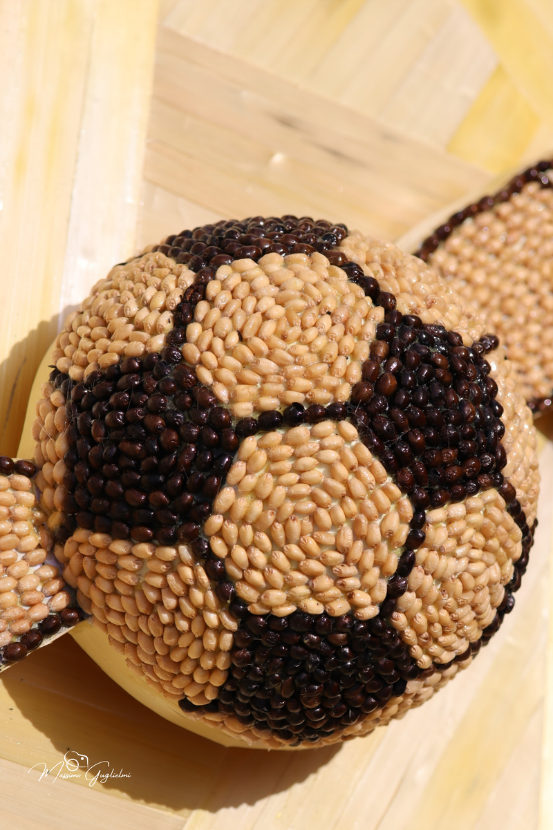 FESTIVITA' IN ONORE DI SANT'ANNA 