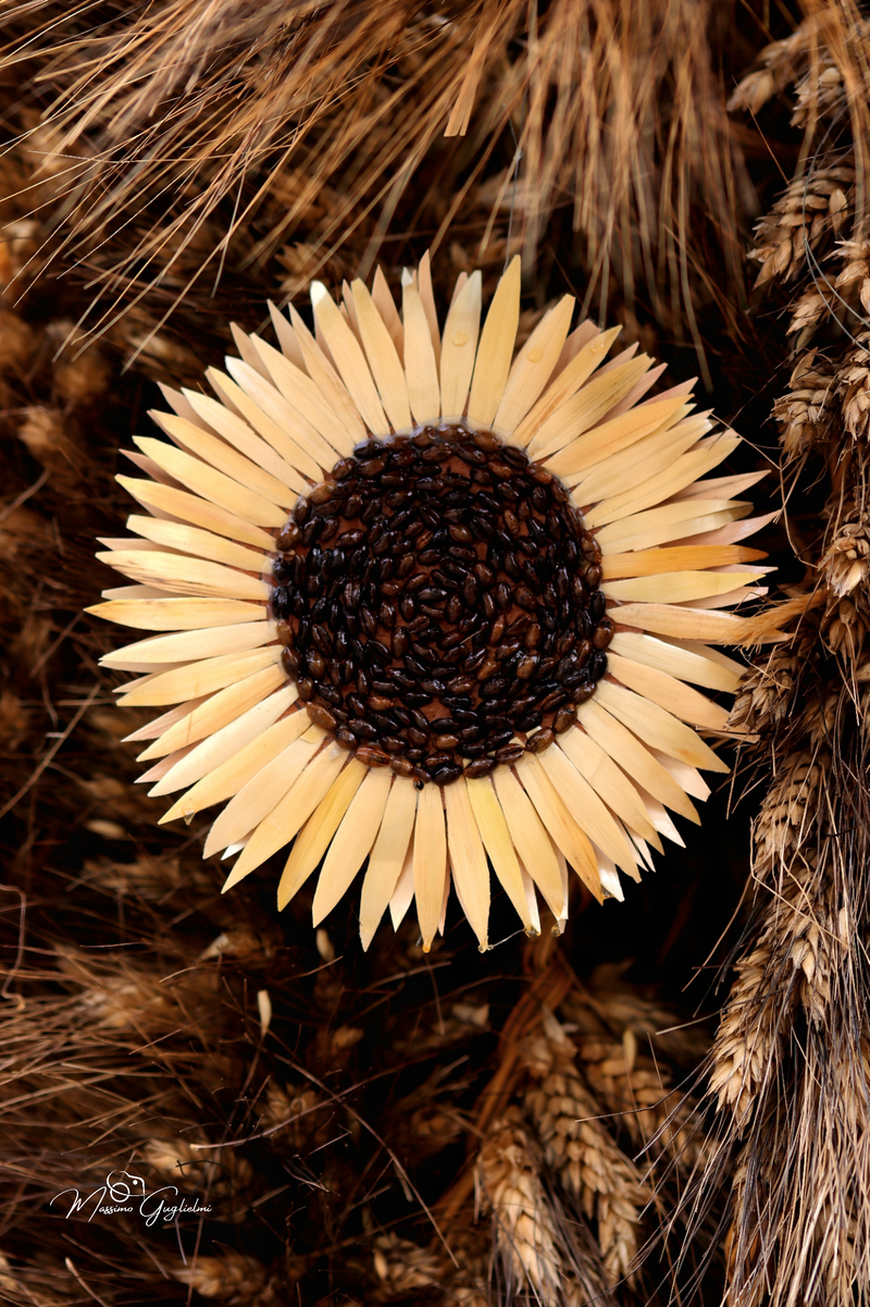 FESTIVITA' IN ONORE DI SANT'ANNA 