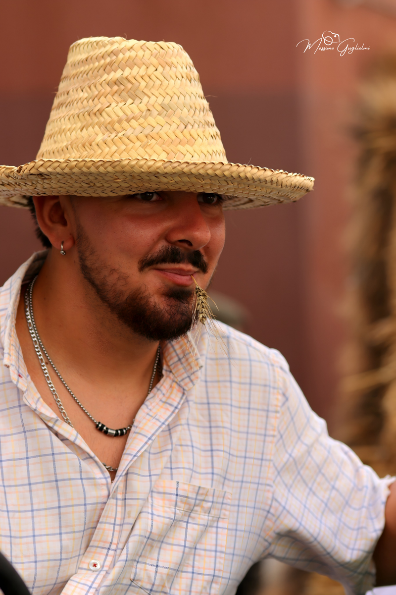 FESTIVITA' IN ONORE DI SANT'ANNA 