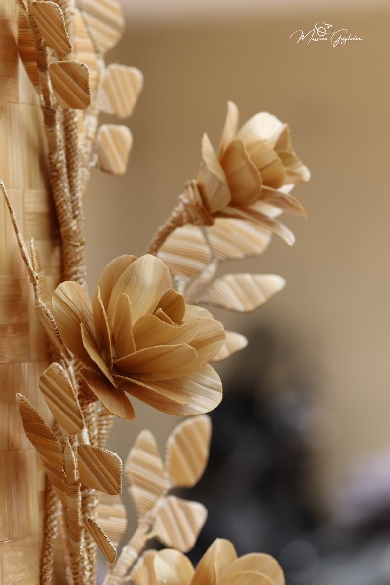 FESTIVITA' IN ONORE DI SANT'ANNA 