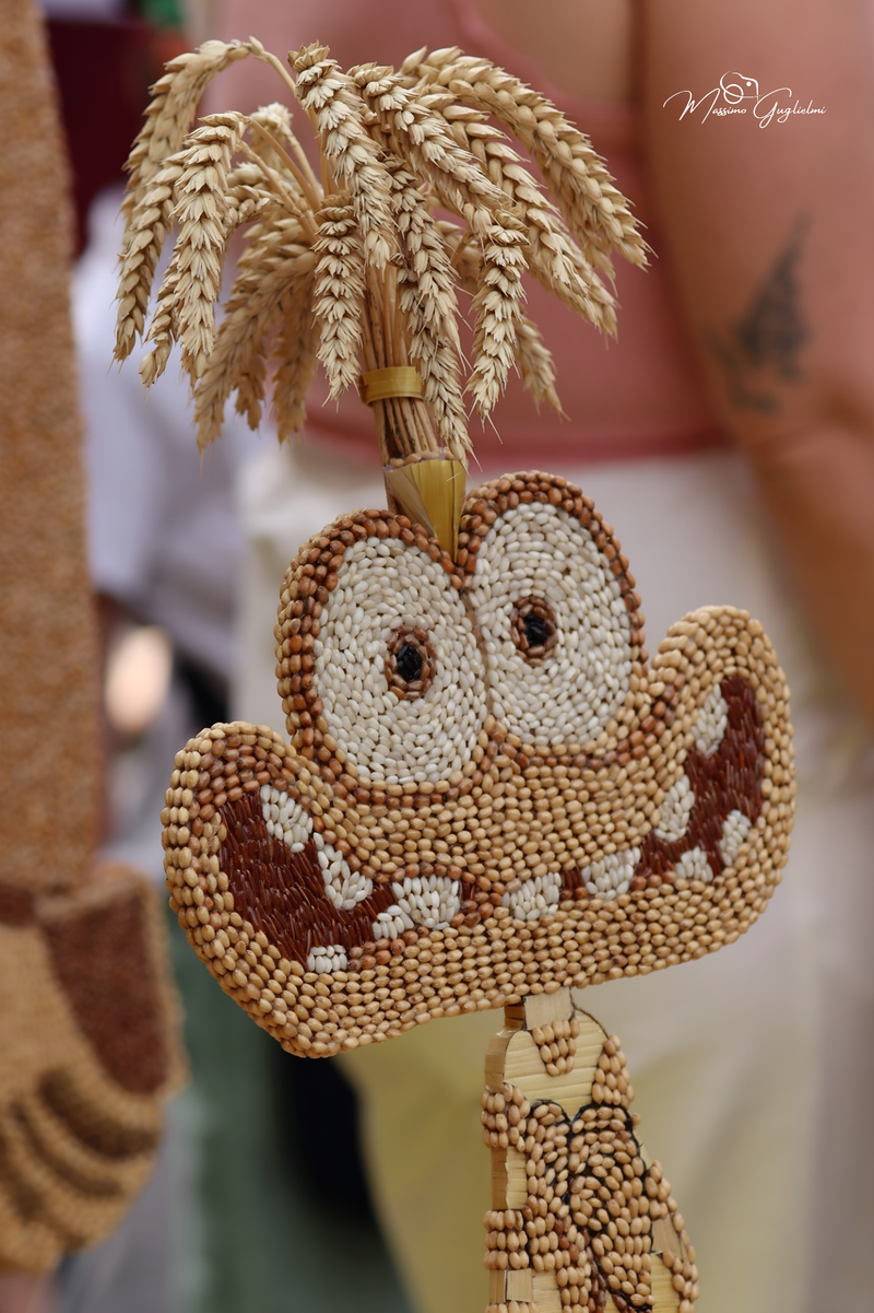 FESTIVITA' IN ONORE DI SANT'ANNA 