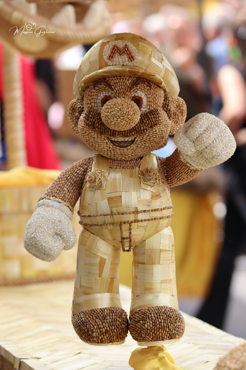 FESTIVITA' IN ONORE DI SANT'ANNA 