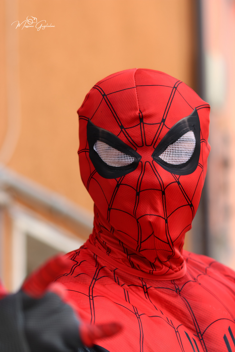 FESTIVITA' IN ONORE DI SANT'ANNA 