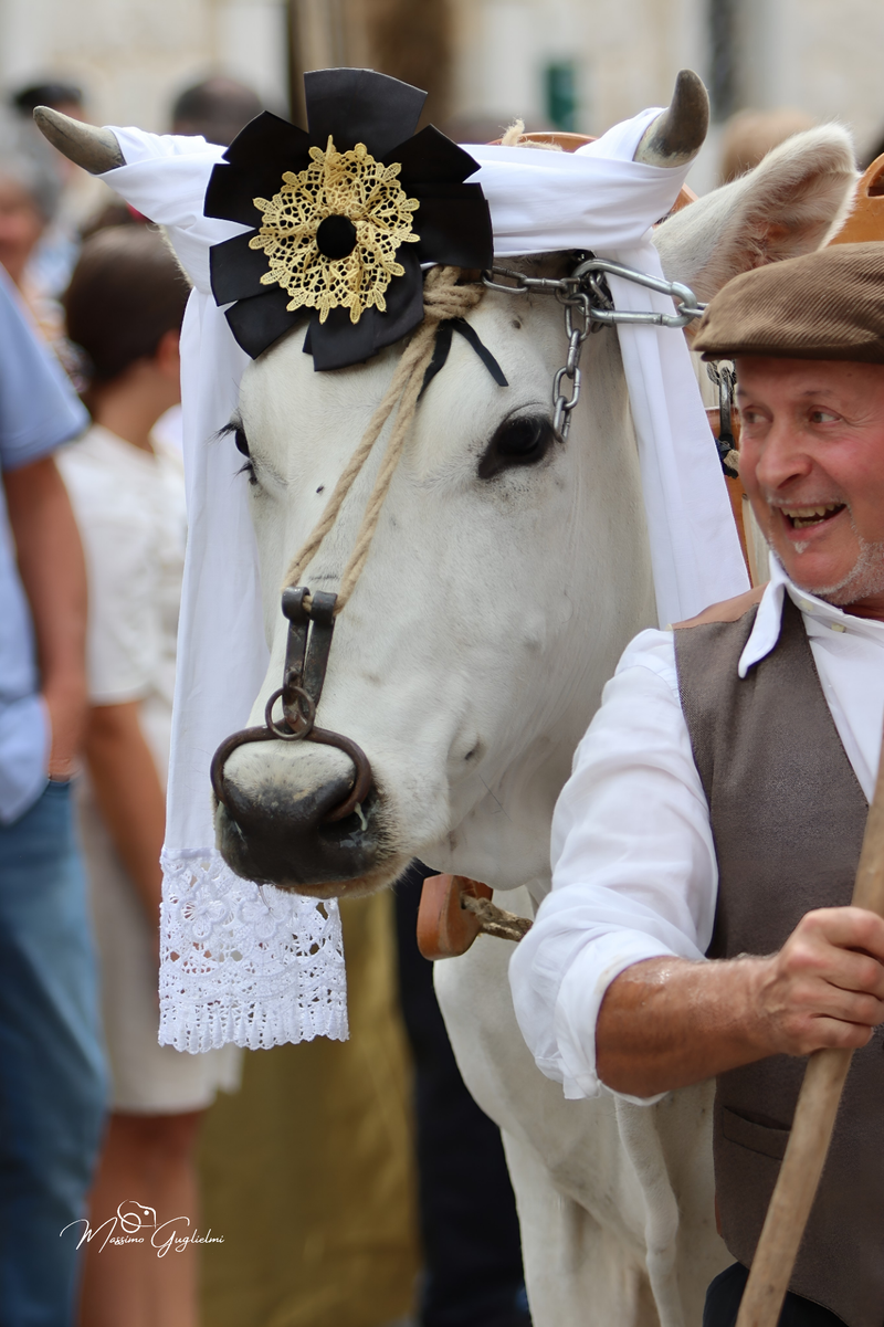 FESTIVITA' IN ONORE DI SANT'ANNA 