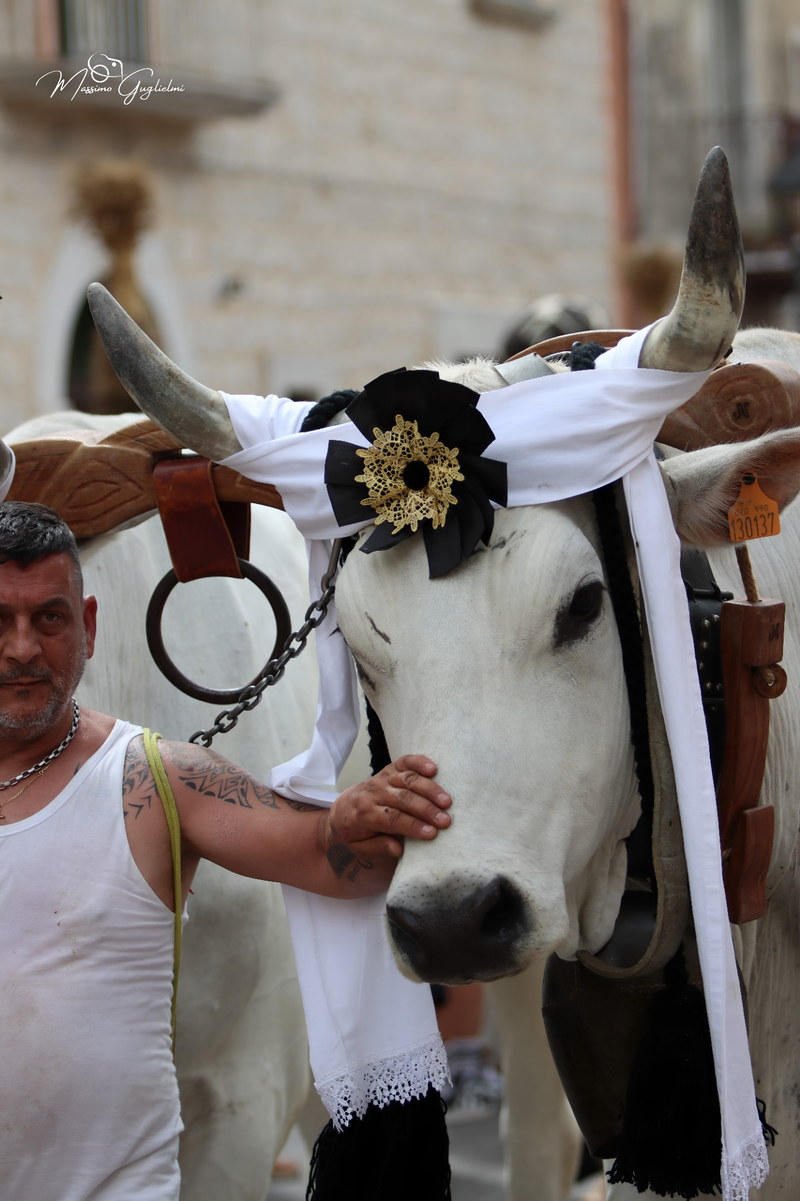 FESTIVITA' IN ONORE DI SANT'ANNA 