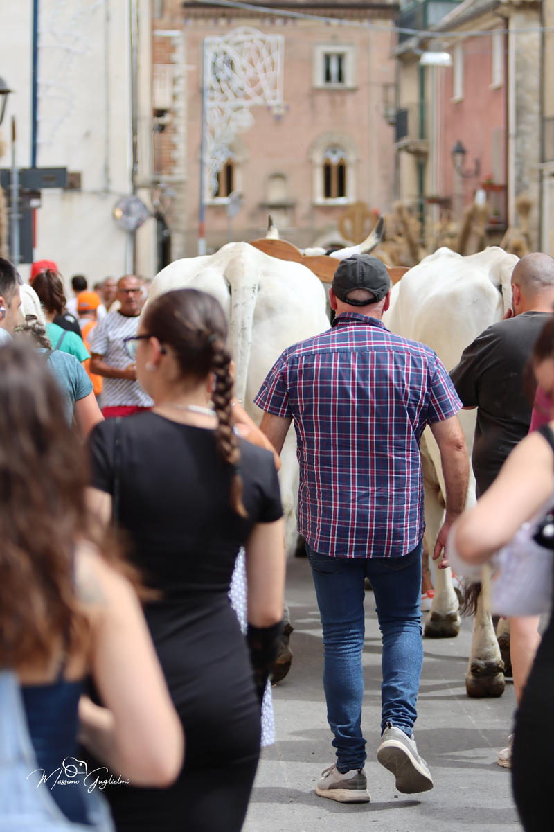 FESTIVITA' IN ONORE DI SANT'ANNA 