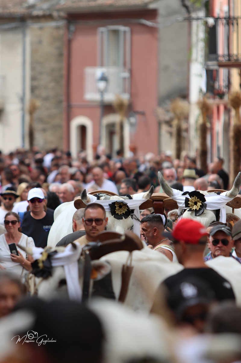 FESTIVITA' IN ONORE DI SANT'ANNA 