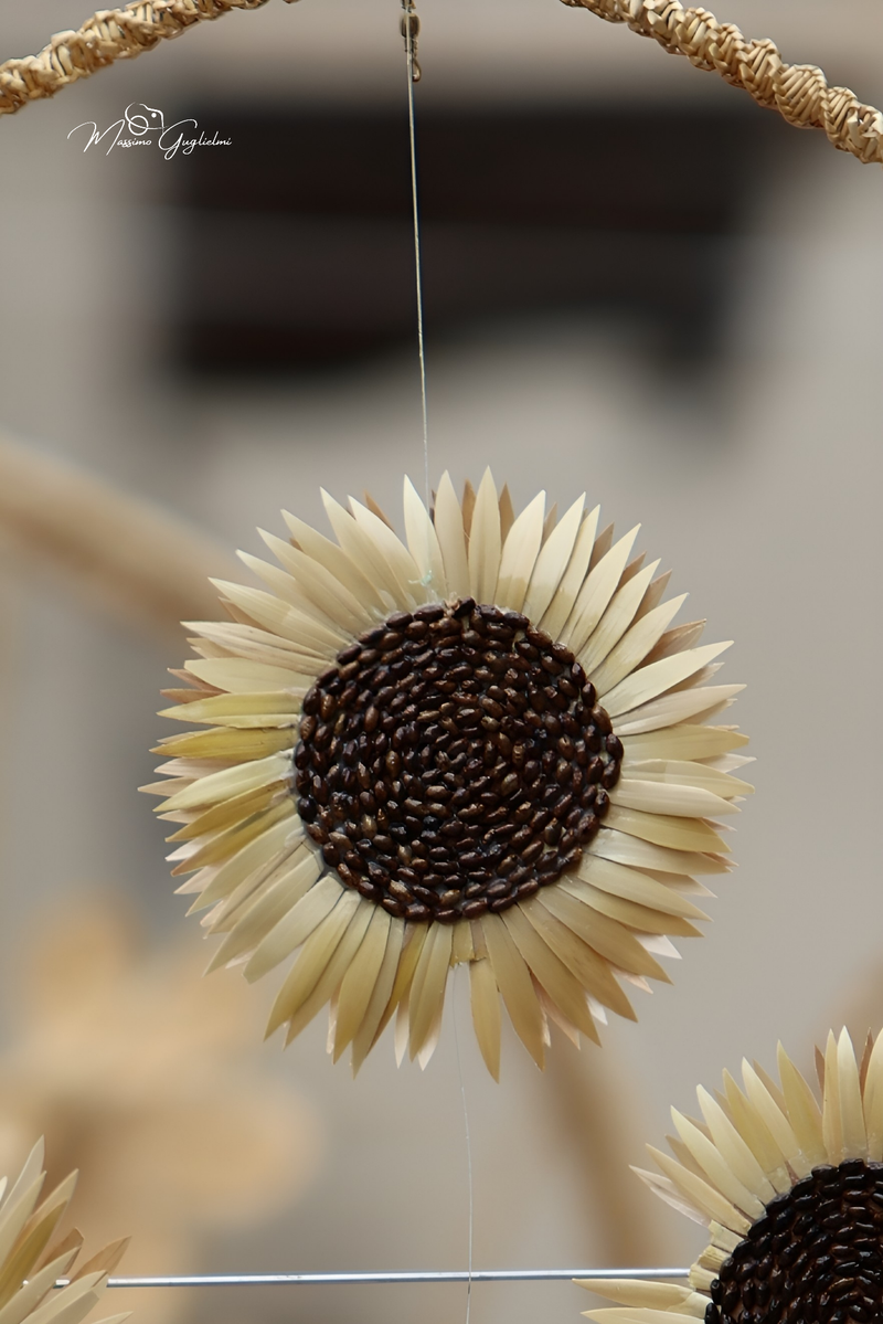 FESTIVITA' IN ONORE DI SANT'ANNA 