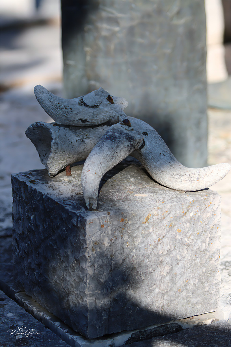 Allegria, tradizioni e colori