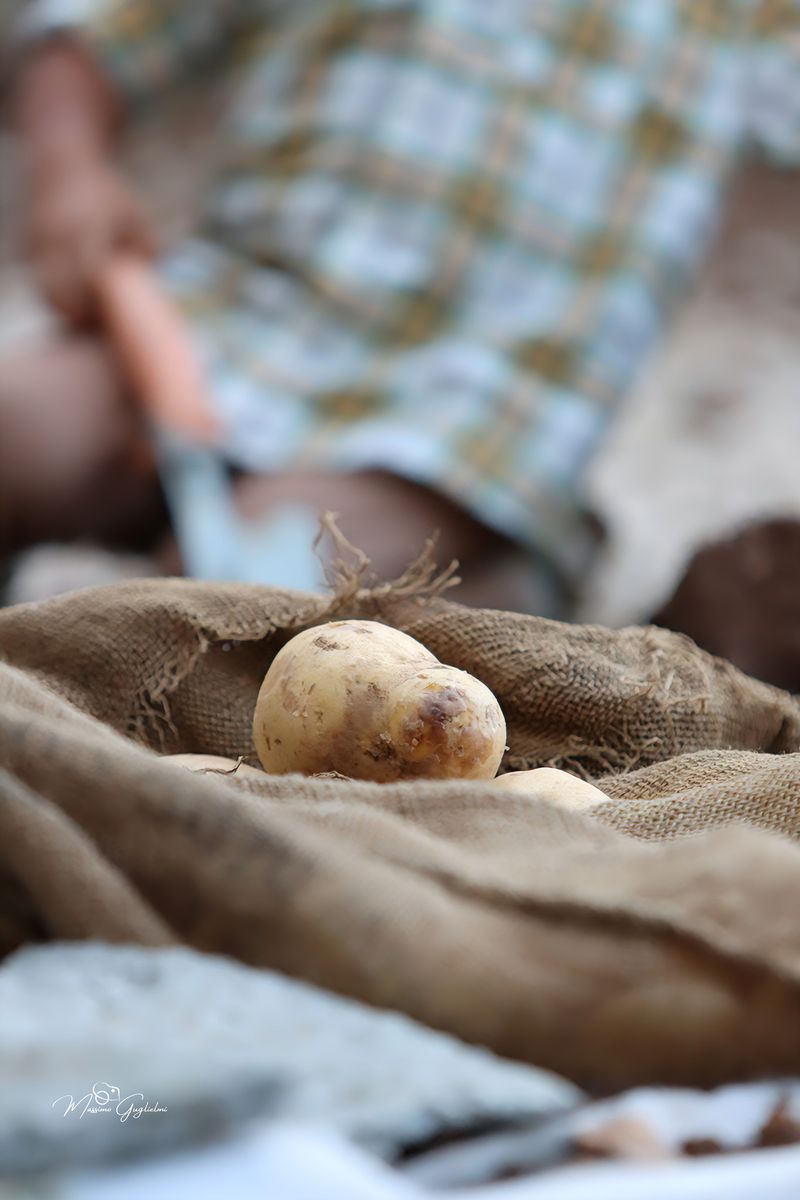 Allegria, tradizioni e colori