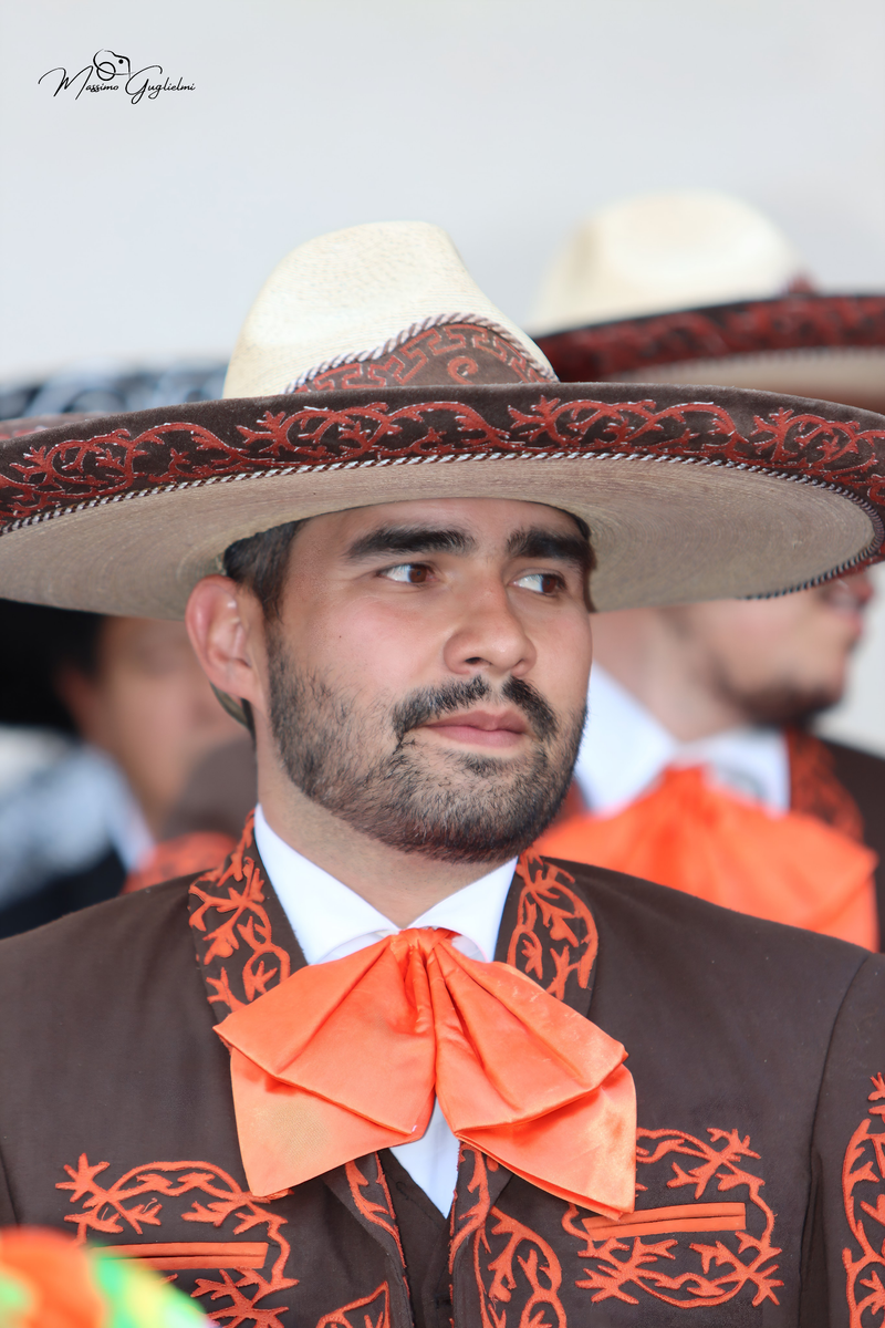 Coliri, musica, allegria