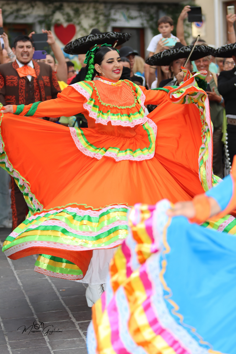 Coliri, musica, allegria